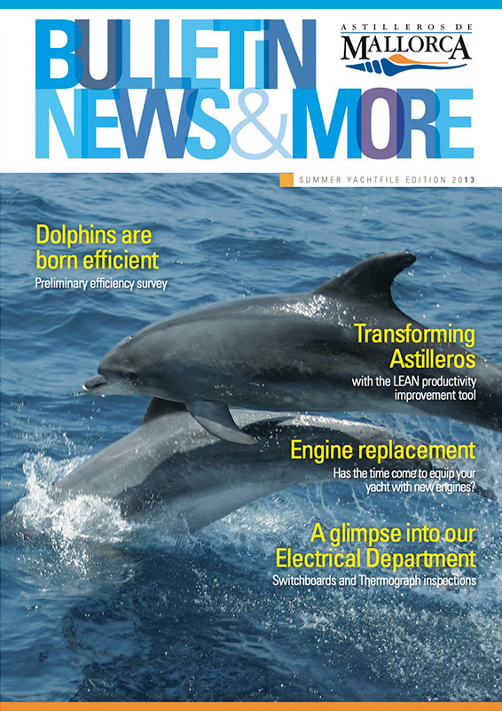 News and More 2013